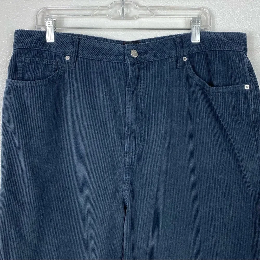 BDG Dark Navy Corduroy High Rise Mom Pants
